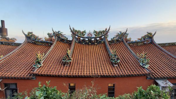 【飛與行的記憶】國內∣新北:草嶺古道芒花季