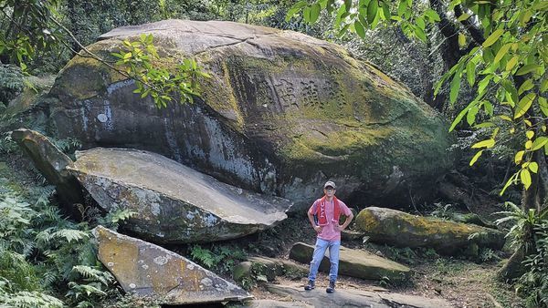 【飛與行的記憶】國內∣新北:草嶺古道芒花季