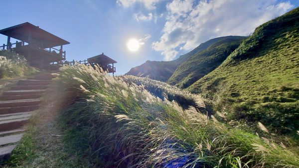 【飛與行的記憶】國內∣新北:草嶺古道芒花季