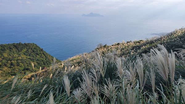 【飛與行的記憶】國內∣新北:草嶺古道芒花季