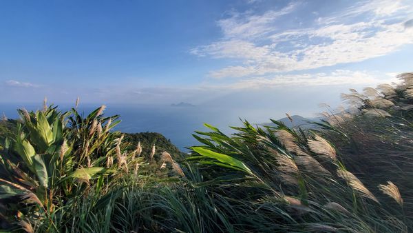 【飛與行的記憶】國內∣新北:草嶺古道芒花季