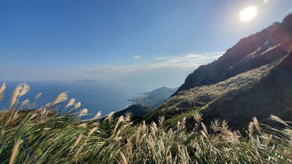 【飛與行的記憶】國內∣新北:草嶺古道芒花季