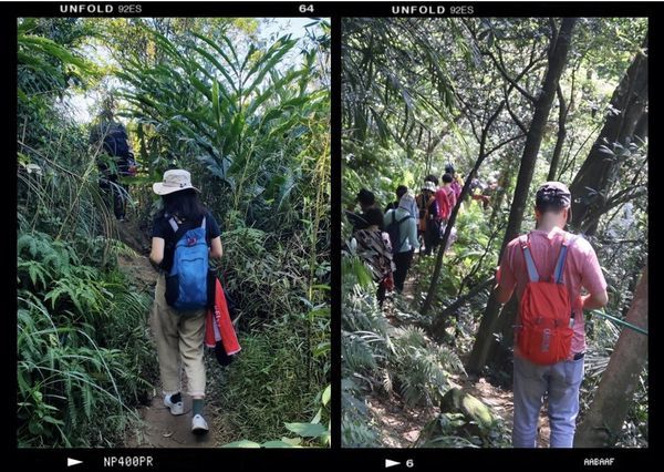 【飛與行的記憶】國內∣新北:草嶺古道芒花季