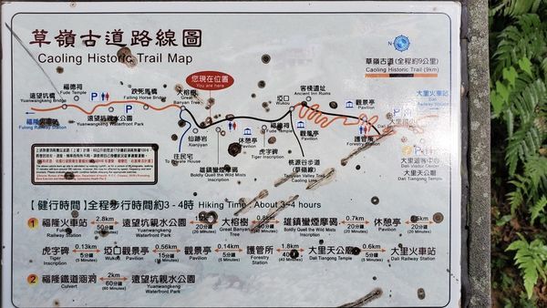 【飛與行的記憶】國內∣新北:草嶺古道芒花季
