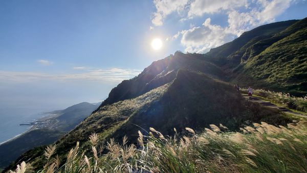 【飛與行的記憶】國內∣新北:草嶺古道芒花季