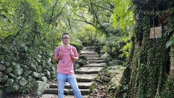 【飛與行的記憶】國內∣新北:草嶺古道芒花季