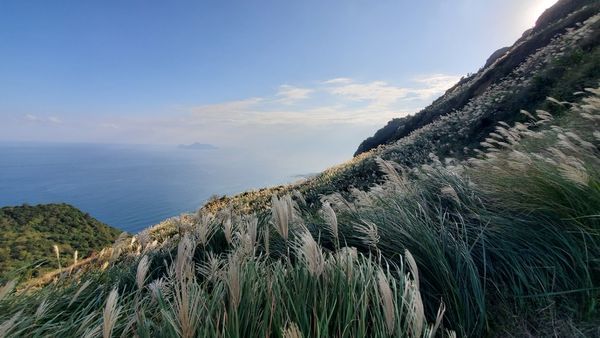 【飛與行的記憶】國內∣新北:草嶺古道芒花季