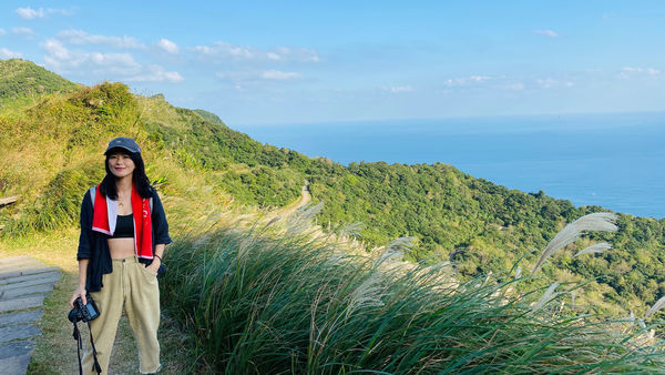 【飛與行的記憶】國內∣新北:草嶺古道芒花季