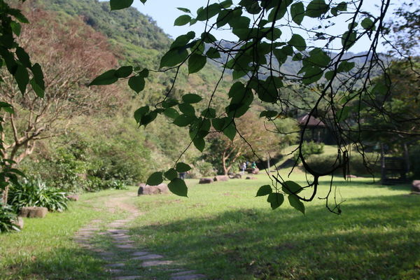 【飛與行的記憶】國內∣新北:草嶺古道芒花季