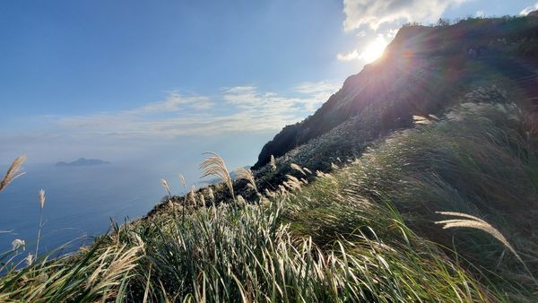 【飛與行的記憶】國內∣新北:草嶺古道芒花季