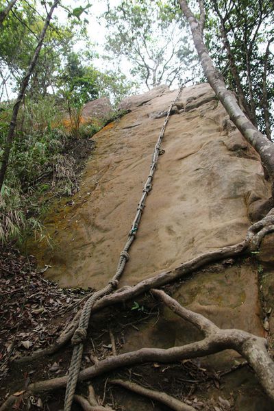 【飛與行的記憶】國內∣新北：北台灣三大岩場－三峽五竂尖