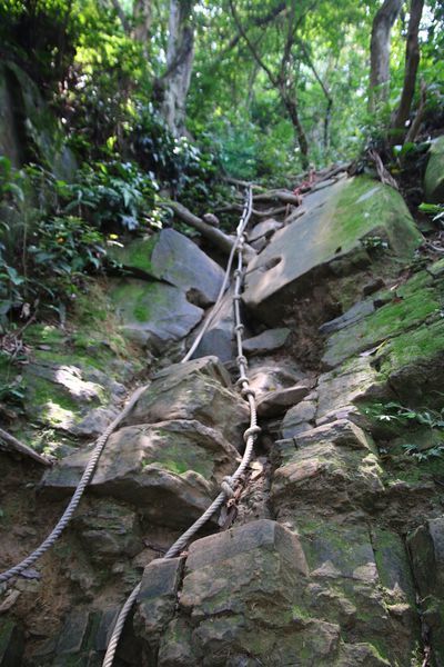 【飛與行的記憶】國內∣新北：北台灣三大岩場－三峽五竂尖