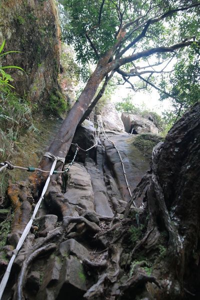 【飛與行的記憶】國內∣新北：北台灣三大岩場－三峽五竂尖