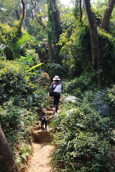 【飛與行的記憶】國內∣新北：北台灣三大岩場－三峽五竂尖