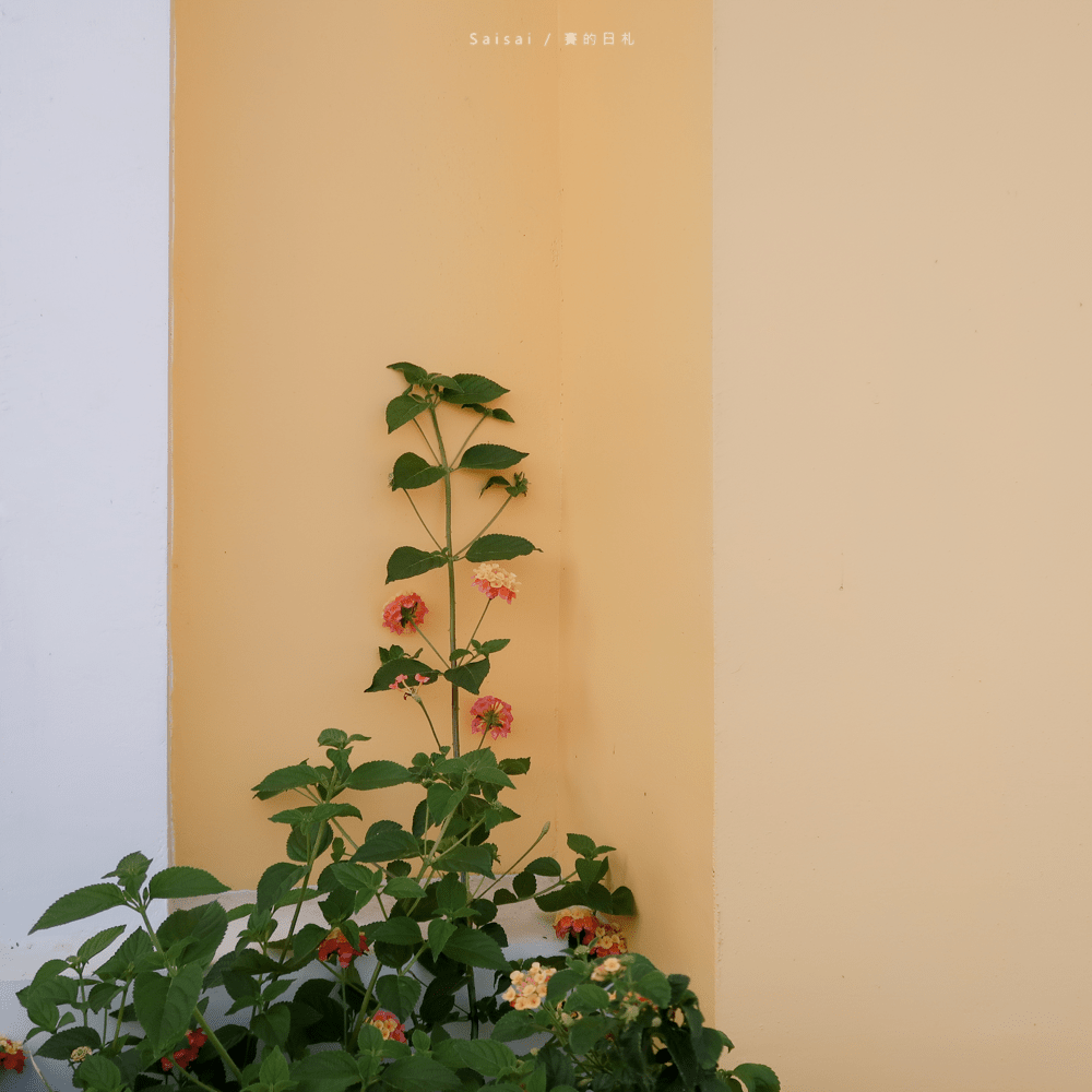 彰化美食餐廳 鹿米葉庭園餐廳Maison de Monica  賽的日札 賽在彰化 法式餐廳-45-min.png