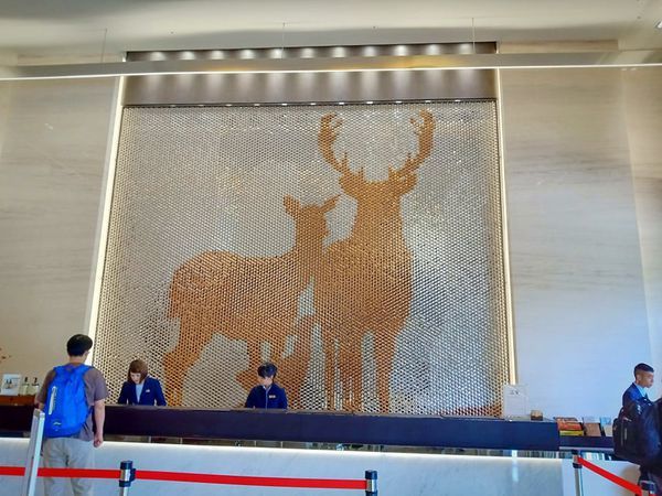 78936504_998450660488504_4513870741011169280_n