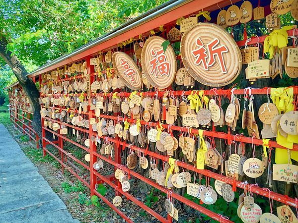 78332414_561286274453665_5999898205309894656_n