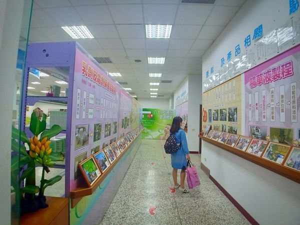 78885070_3099858293375946_7415297127154188288_n