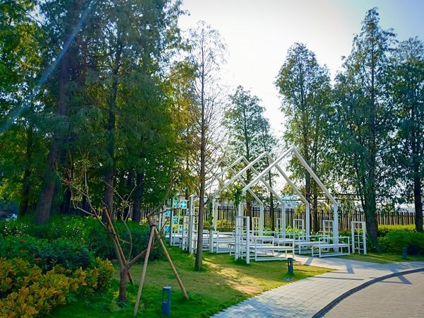 78571342_1127243730803043_8418592107291213824_n