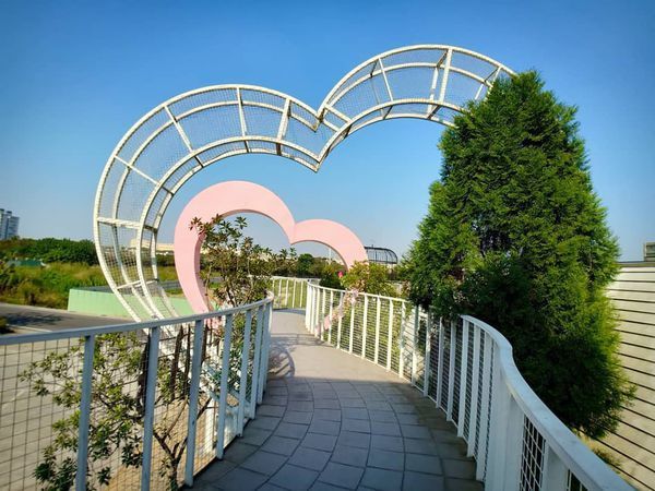 78252999_818736825214654_1434858877496590336_n