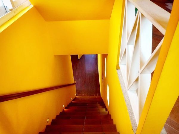 80783822_486950242218709_1337536284368830464_n