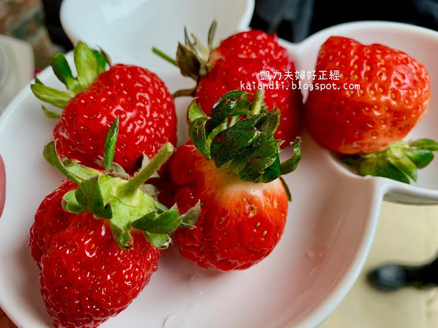 【苗栗勝興採草莓】泉宏草莓園|草莓季來了,不用到大湖人擠人,勝興車站也有草莓園。