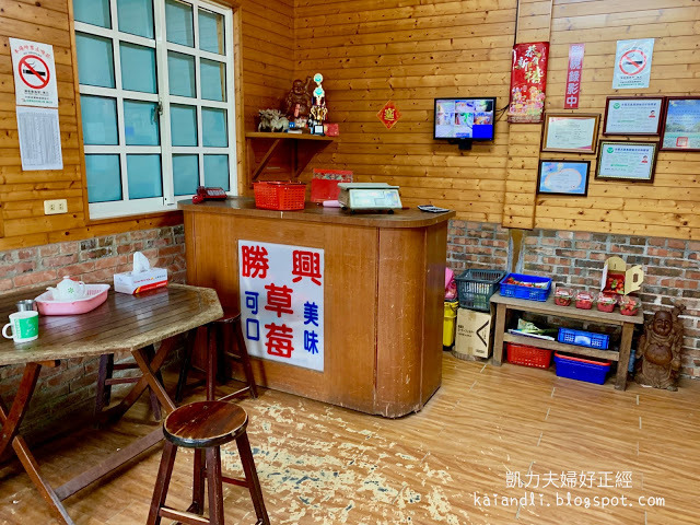 【苗栗勝興採草莓】泉宏草莓園|草莓季來了,不用到大湖人擠人,勝興車站也有草莓園。