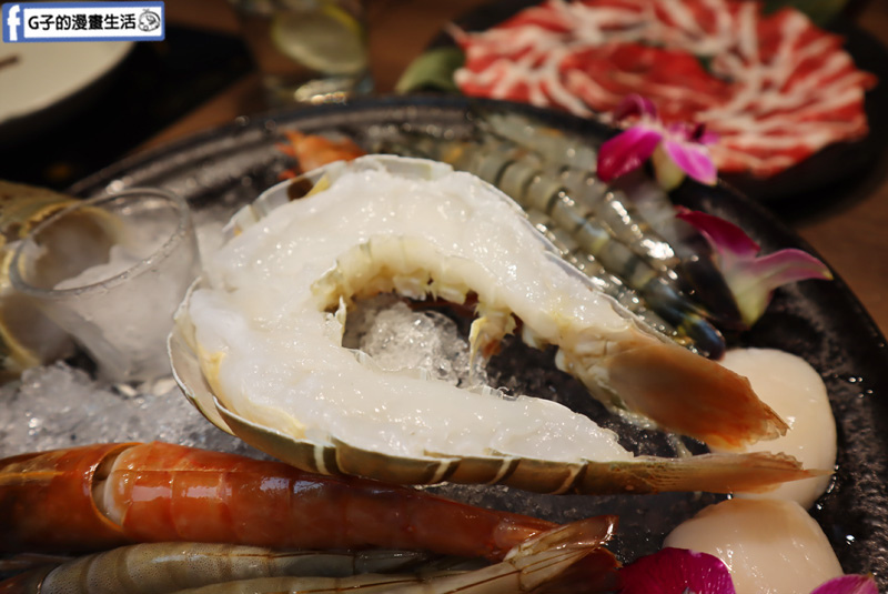 板橋捷運美食.瀧鍋物製造所.大遠百斜對面.板橋必吃火鍋.雙人海陸龍蝦套餐