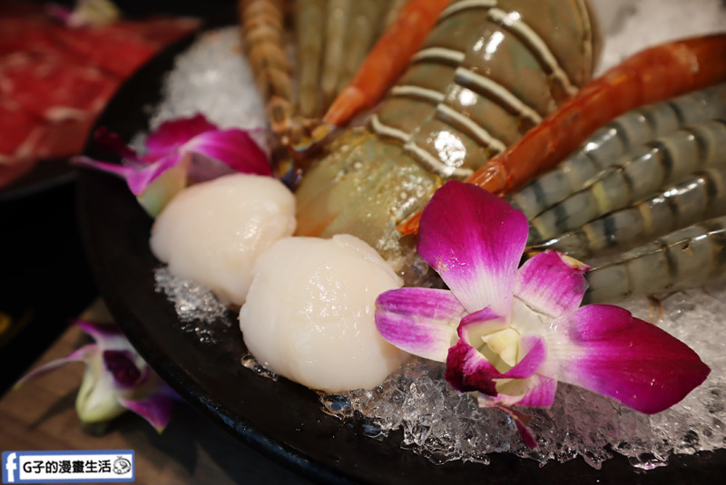 板橋捷運美食.瀧鍋物製造所.大遠百斜對面.板橋必吃火鍋.雙人海陸龍蝦套餐