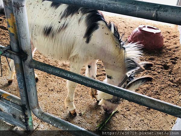 200626崇德瑩農場_201018_26.jpg