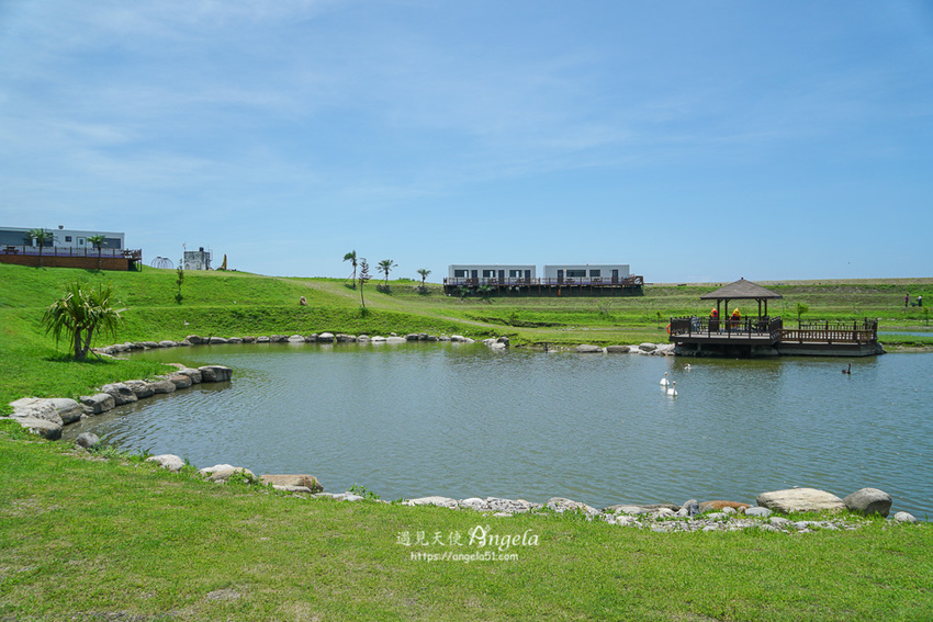 台版紐西蘭花蓮崇德瑩農場露營區