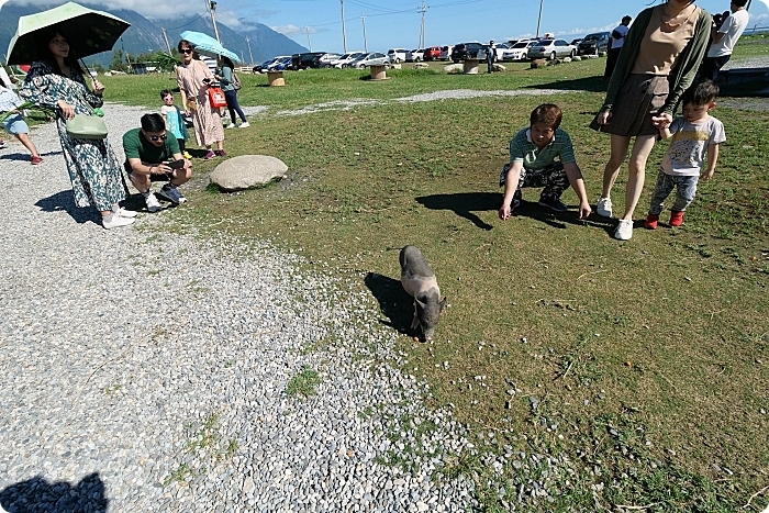 花蓮景點⎪崇德瑩農場。絕美海洋泡泡屋、超大草原放牧餵動物,環湖露營,超棒的免費景點! @捲捲頭 Wonderful 品味。生活