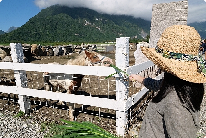 花蓮景點⎪崇德瑩農場。絕美海洋泡泡屋、超大草原放牧餵動物,環湖露營,超棒的免費景點! @捲捲頭 Wonderful 品味。生活