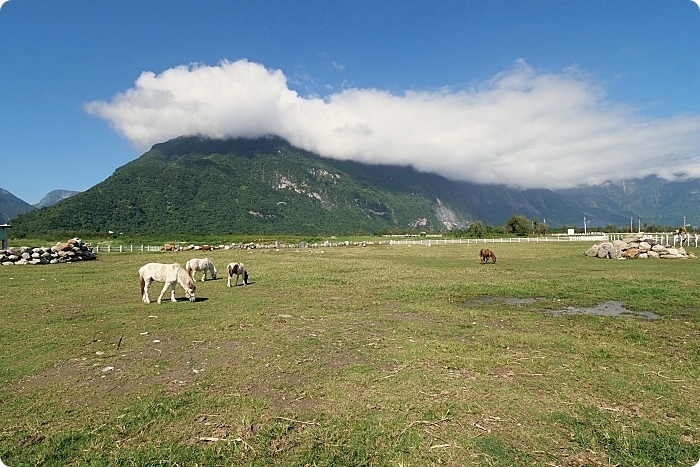 花蓮景點⎪崇德瑩農場。絕美海洋泡泡屋、超大草原放牧餵動物,環湖露營,超棒的免費景點! @捲捲頭 Wonderful 品味。生活