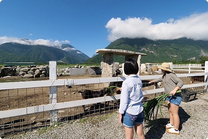 花蓮景點⎪崇德瑩農場。絕美海洋泡泡屋、超大草原放牧餵動物,環湖露營,超棒的免費景點! @捲捲頭 Wonderful 品味。生活