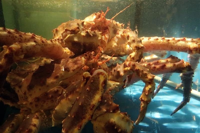 建一水產 2020 2店013.jpg