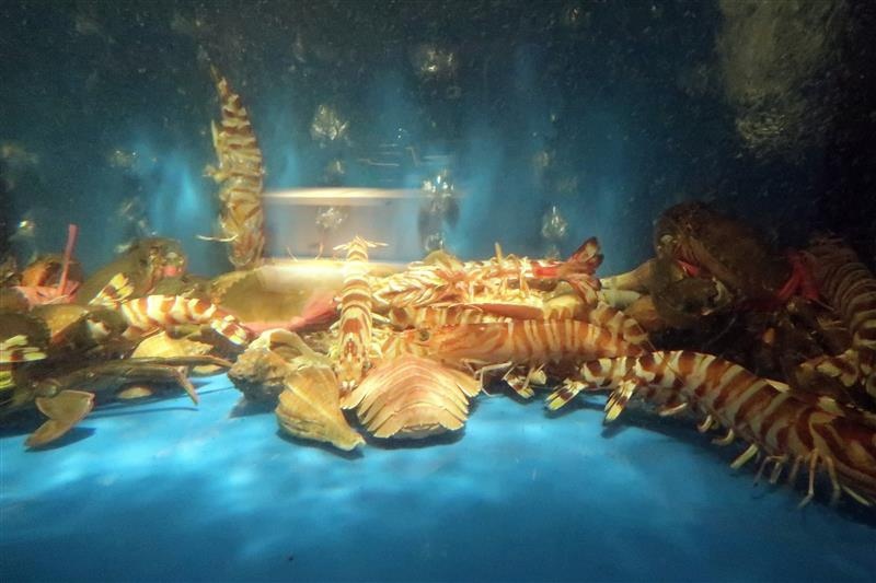 建一水產 2020 2店005.jpg