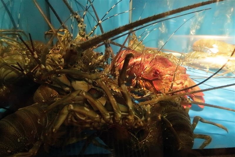 建一水產 2020 2店014.jpg