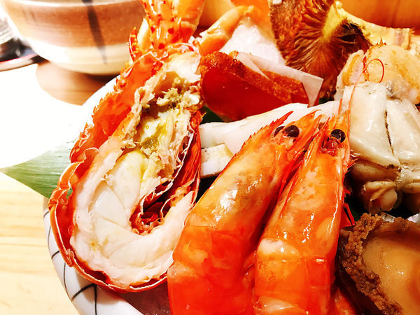 IMG_6980.JPG IMG_6980.JPG