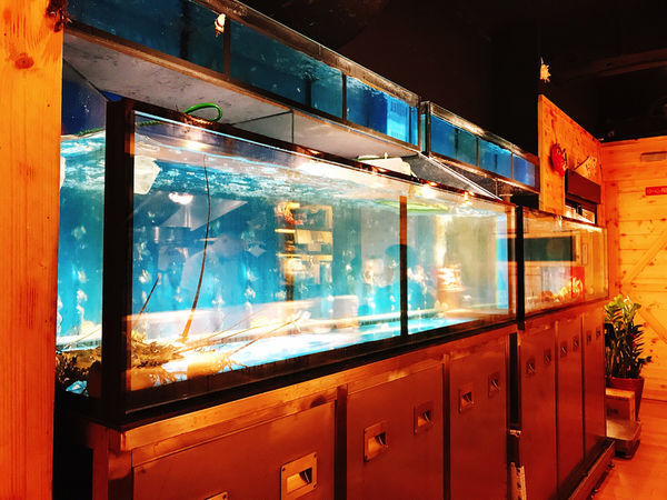 IMG_6976.JPG IMG_6976.JPG