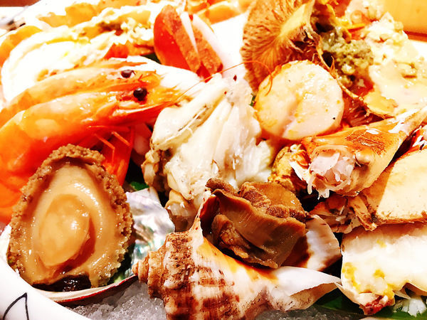 IMG_6981.JPG IMG_6981.JPG