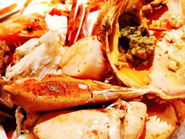 IMG_6982.JPG IMG_6982.JPG