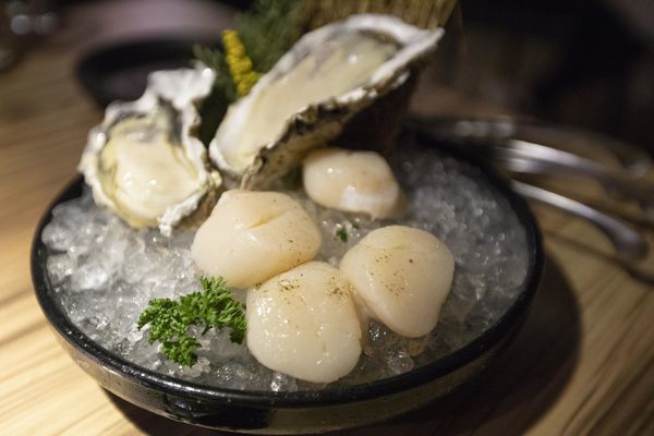 大股熟成燒肉專門 (新竹竹北店) - 17