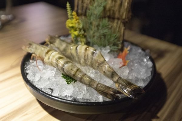 大股熟成燒肉專門 (新竹竹北店) - 6