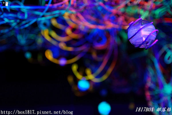 【台南。鹽水】月之美術館。2019 秋季展 - 月光之城。夜拍分享版。必拍一銀巷 (成長是一棵流光樹)