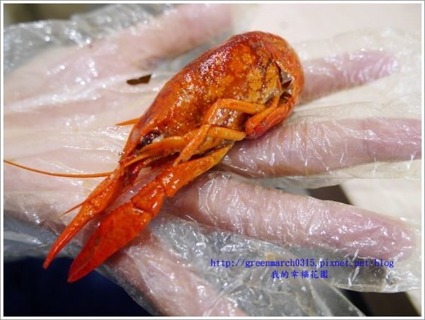 P9320505 (620x465).jpg