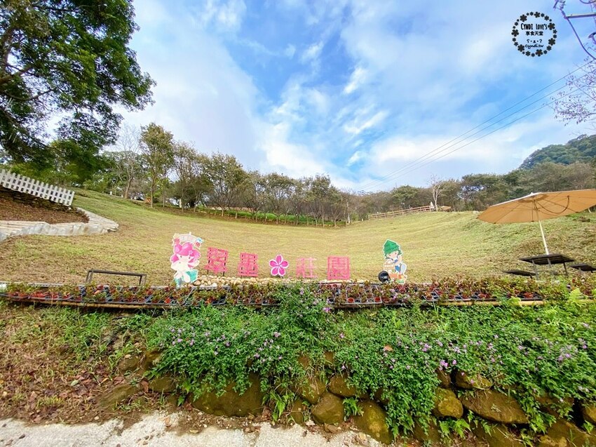 翠墨莊園，桃園復興鄉大溪景點，日式鳥居/熱氣球/飛天翅膀，IG打卡景點，寵物 - Cyndi loves享食天堂
