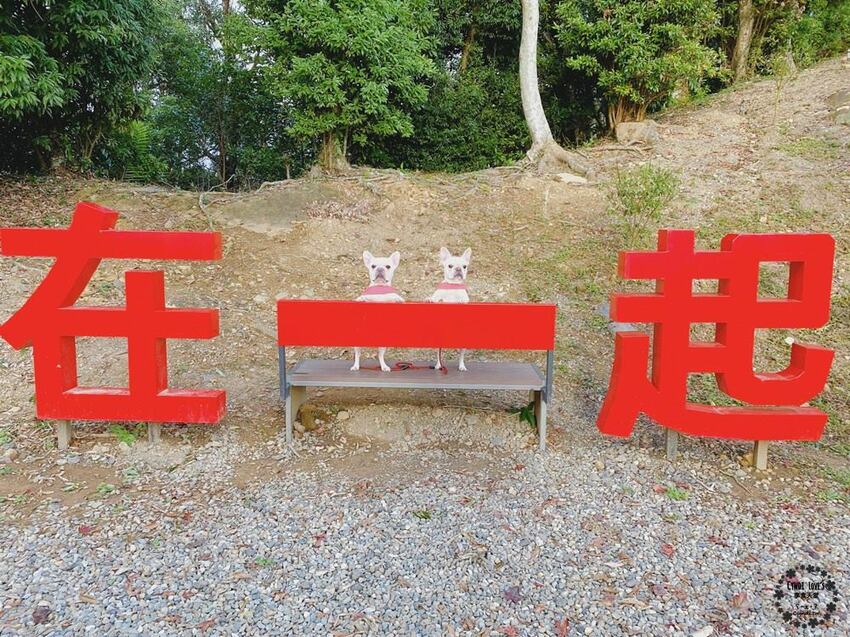 翠墨莊園，桃園復興鄉大溪景點，日式鳥居/熱氣球/飛天翅膀，IG打卡景點，寵物 - Cyndi loves享食天堂