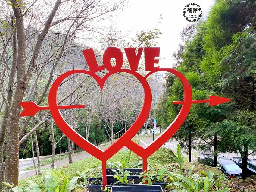 翠墨莊園，桃園復興鄉大溪景點，日式鳥居/熱氣球/飛天翅膀，IG打卡景點，寵物 - Cyndi loves享食天堂