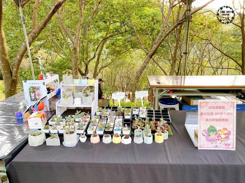 翠墨莊園，桃園復興鄉大溪景點，日式鳥居/熱氣球/飛天翅膀，IG打卡景點，寵物 - Cyndi loves享食天堂